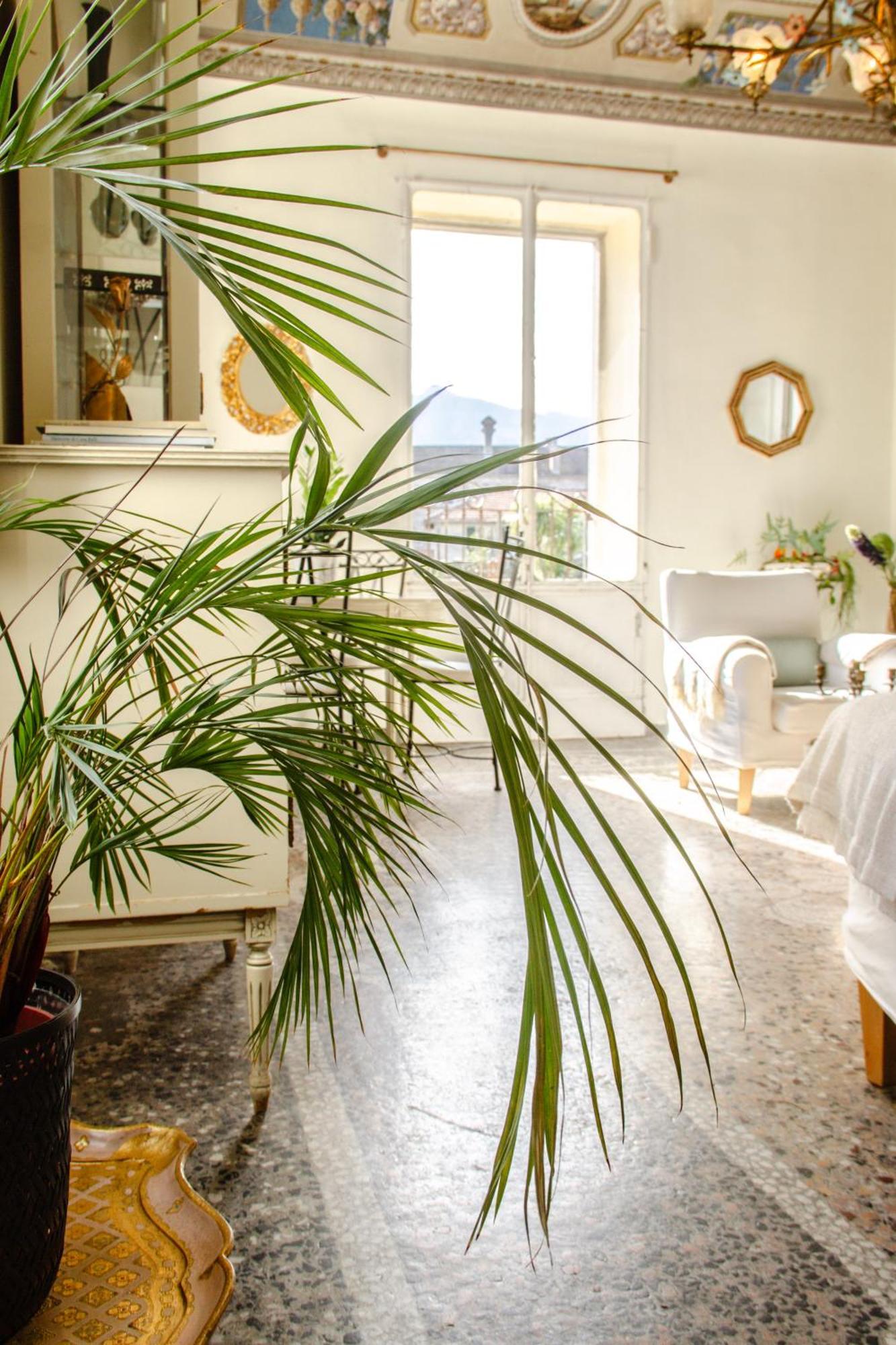 Bed & Blessing / Casa Borgo